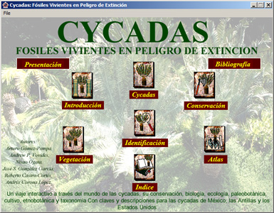 Las Cycadas de México, USA y las Antillas