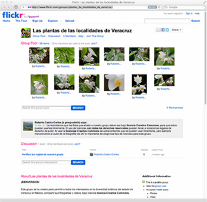 Plantas de mi localidad Flickr