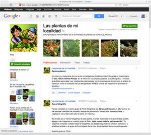 Plantas de mi localidad Google